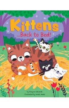 Picture Books  Go Back To Bed Kittens